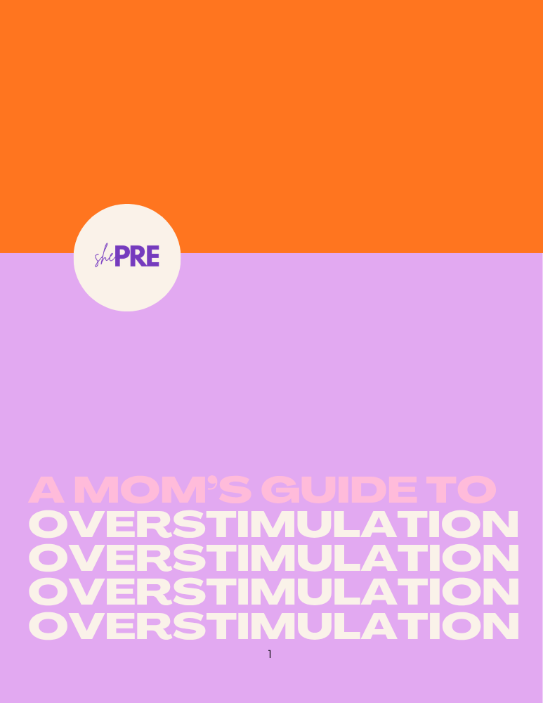 A Mom's Guide to Overstimulation Cover